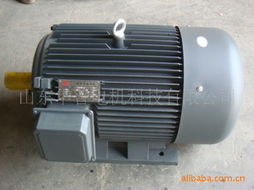 山东华普电机科技 专业机械设备用电动机产品全览